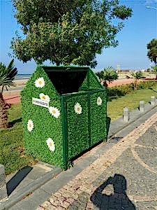 IMG_3370.jpg